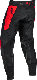 Fly Racing Men's Evolution DST Motocross Pants