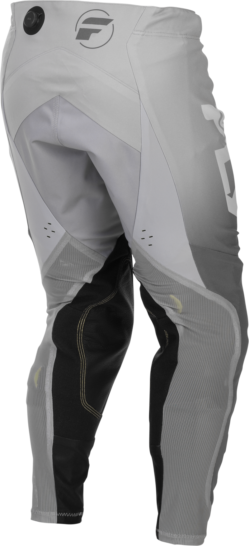Fly Racing Evolution DST Pants