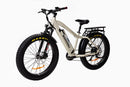 Bakcou FLATLANDER Electric Bike